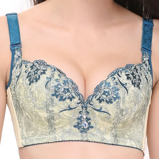 Daisity Woman's Thick Padded Up Comfortable Embroidery Lace Bras